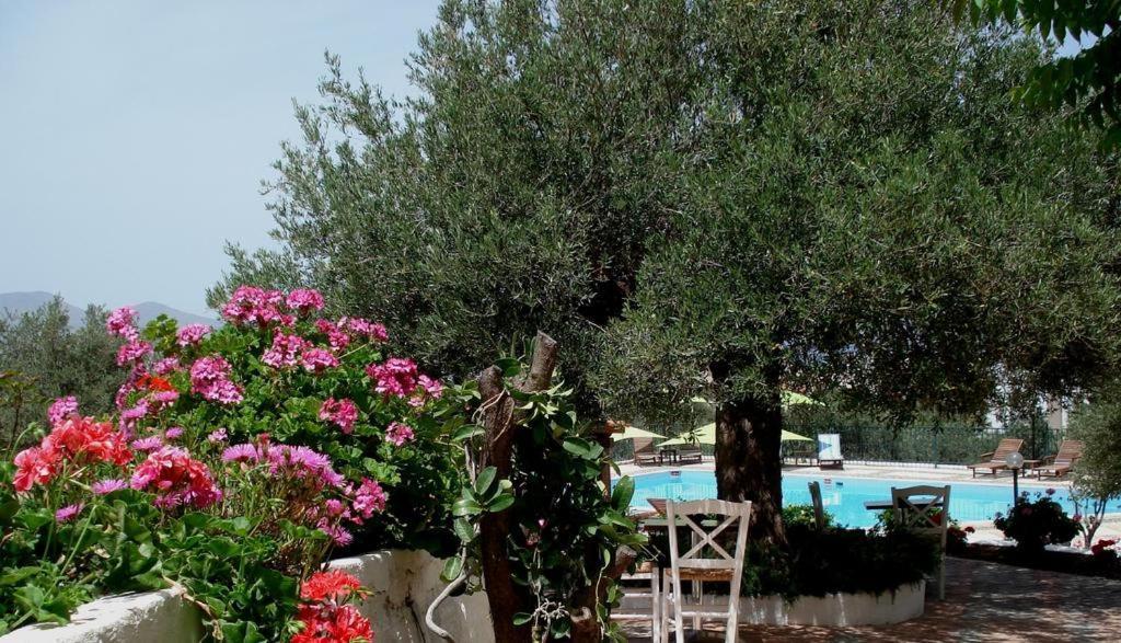 Katerina Charming Place Amoudara  Екстериор снимка
