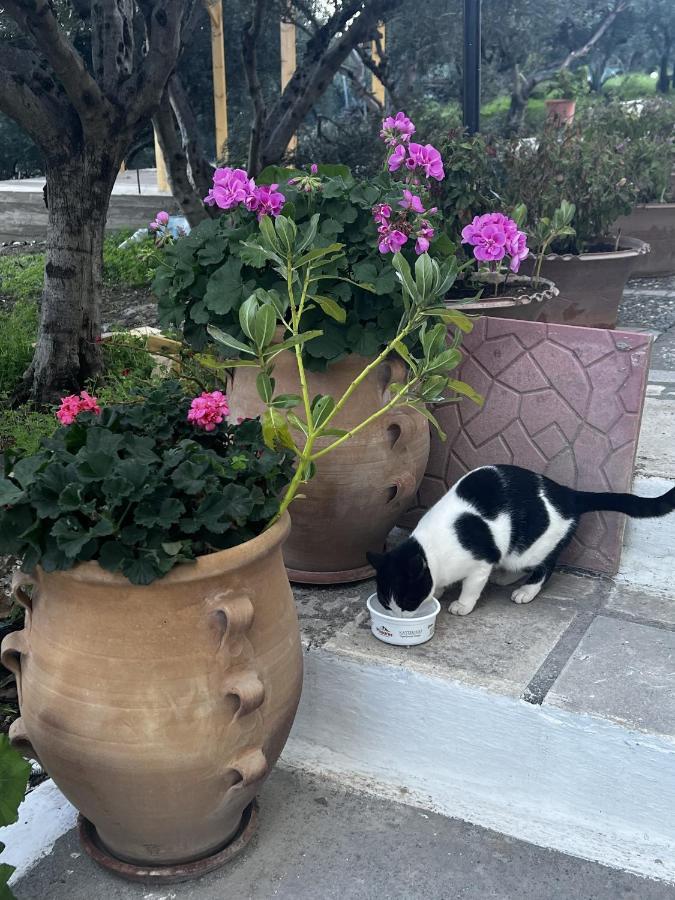Katerina Charming Place Amoudara  Екстериор снимка